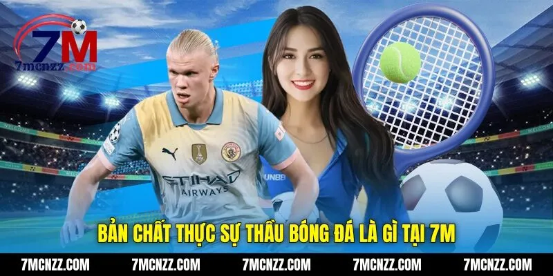 Bản chất thực sự thầu bóng đá là gì tại 7M