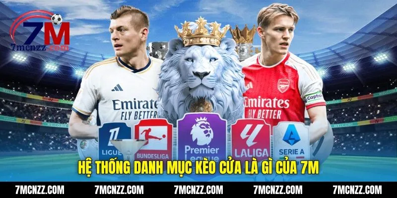 Hệ thống danh mục kèo cửa là gì của 7M