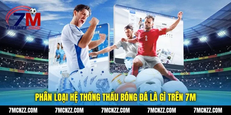 Phân loại hệ thống thầu bóng đá là gì trên 7M