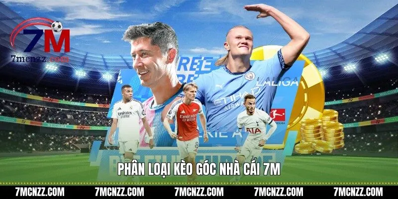 Phân loại kèo góc nhà cái 7M