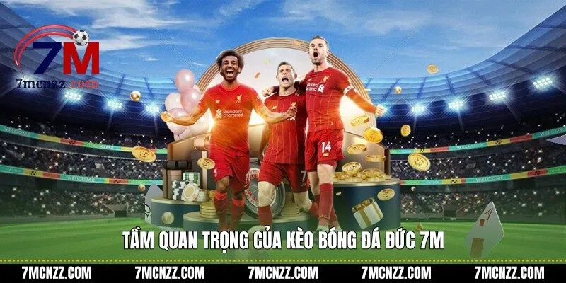Tầm quan trọng của kèo bóng đá Đức 7M
