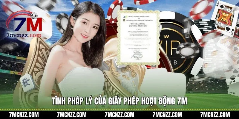 Tính pháp lý của giấy phép hoạt động 7M